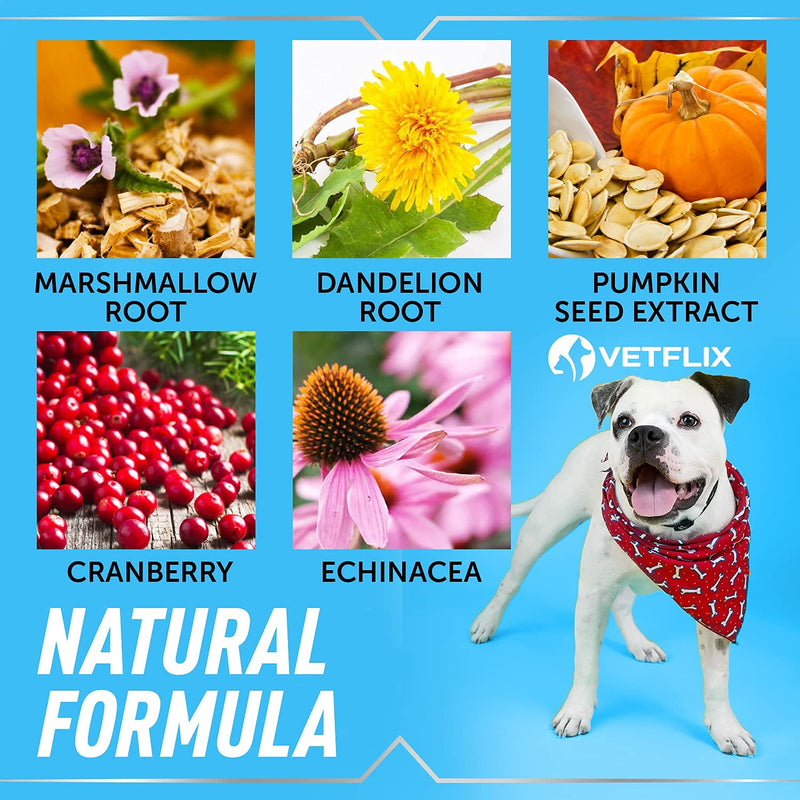 Vetflix Cranberry Dog & Cat UTI Treatment - Best UTI for Pets - Made in USA - Dog & Cat Kidney Support - Cat Bladder Drops - Pet Immune Health Supplement - Marshmallow, Dandelion Root, Pumpkin Seed - BeesActive Australia