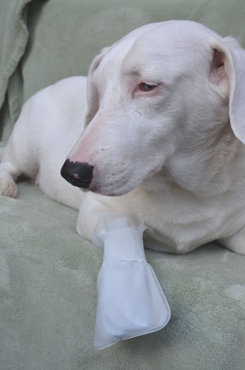 PawFlex Outdoor Water Proof Cover. Slides Over MediMitts for Dogs paw (which are Sold Separately) Fastens with Medimitt Strap. Useful for hot Spots, Allergies & Chronic Licking Value pk Small 20pk - BeesActive Australia