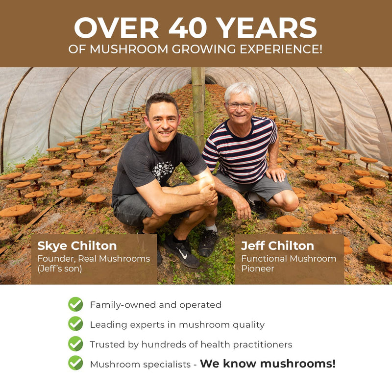 Cordyceps Performance Mushroom Extract Powder Supplement - Improve Energy and Endurance (120ct) Non-GMO (60 Days) 120 Count (Pack of 1) - BeesActive Australia
