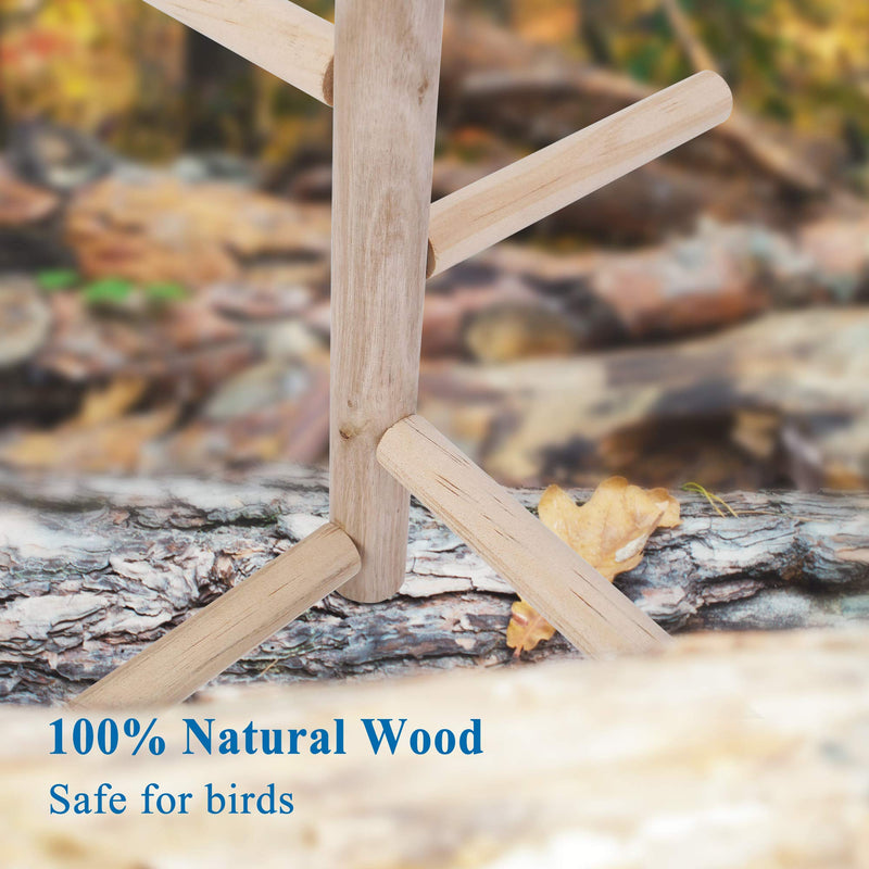 Mogoko Parakeet Perch Bird Natural Wood Stand,Parrot Cage Top Wooden Branches Standing Toys for Small Medium Parrots Conure Budgie Lovebirds - BeesActive Australia