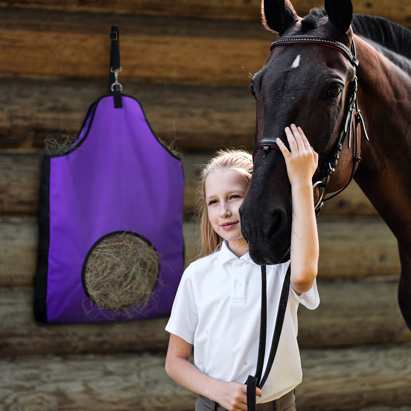 HIRQUITICKE Premium Durable Horse Slow Feed Hay Bag with Metal Snap Fastener and Heavy Adjustable Strap Purple - BeesActive Australia