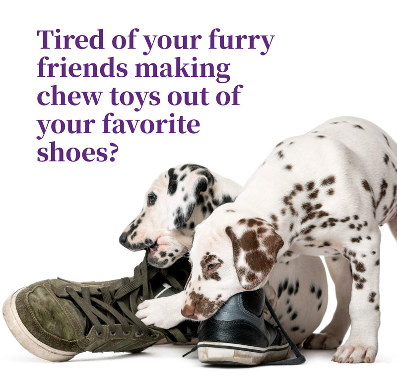 Harbor's Bitter No Chew Spray | 3 X Strength Chewing Deterrent Spray | Anti Chew Behavior Training Aid | Stops Destructive Chewing and Licking of Shoes, Bandages, Paws, Fur & Furniture | Made in USA - BeesActive Australia