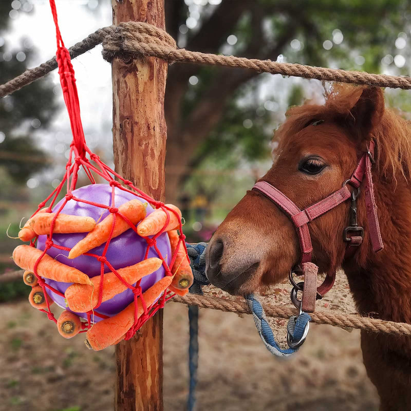 Horse Treat Ball Carrot Feeder Toy Hanging Feeding Toy Goat Feeder Ball for Horse Goat Sheep Relieve Stress, Horse Stable Stall Paddock Rest Purple - BeesActive Australia