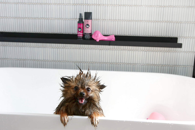 Rufus & Coco New Natural Dog and Puppy Shampoo and Conditioner | Sulfate & Paraben Free | pH Balanced, Hypoallergenic Fresh Fragrance | Safe for Cats and Dogs Puppies - BeesActive Australia