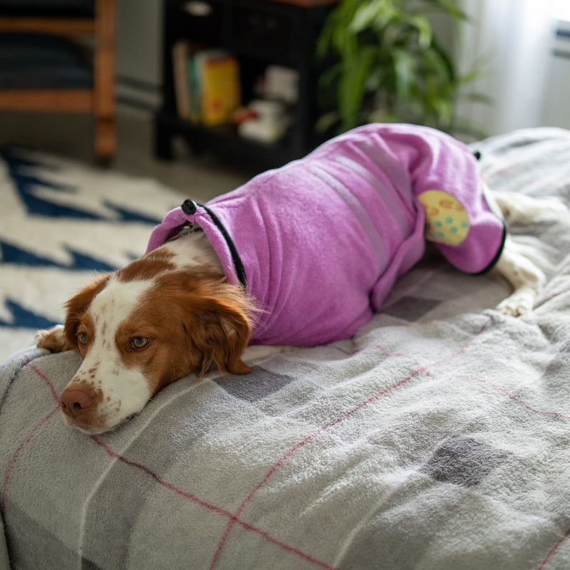 Troop Trot - Dog Bathrobe - Dog Towels for Drying Dogs - Super Absorbent Pet Bathrobe - Premium Dog Robes for After Bath - Quick Drying Microfiber Dog Towel Wrap Medium Pooch Pink - BeesActive Australia