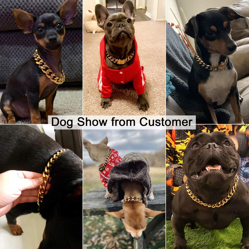 W/W Lifetime Gold Dog Chain Collar Walking Metal Chain Collar with Design Secure Buckle,18K Cuban Link Strong Heavy Duty Chew Proof for Dogs 14 Inch (Pack of 1) - BeesActive Australia