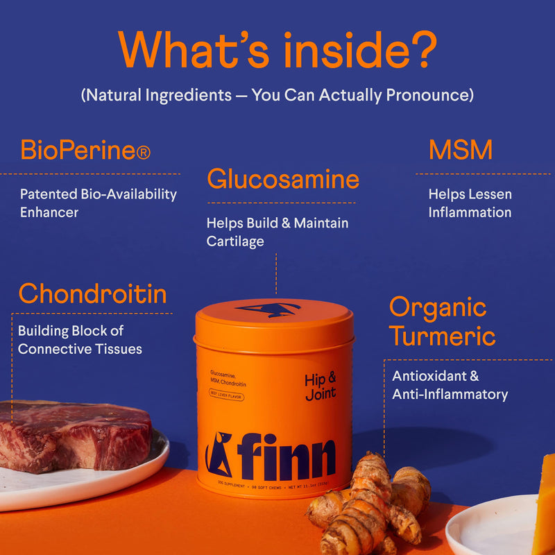 Finn Hip and Joint Supplement for Dogs | Glucosamine, Chondroitin & MSM for Arthritis, Inflammation, and Mobility Support | with Turmeric, BioPerine and B-Vitamins | 90 Soft Chew Treats - BeesActive Australia