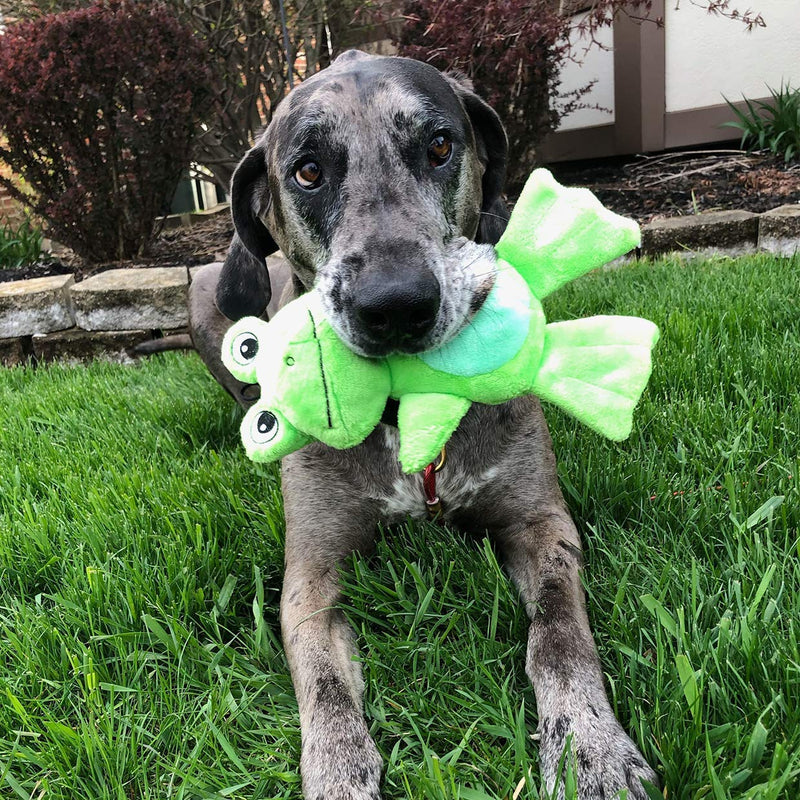 Snuggle Puppy Tender-Tuffs - Comfort Plush - Tough Dog Toy - Proprietary TearBlok Technology - Soft Green Frog with Squeaker - BeesActive Australia