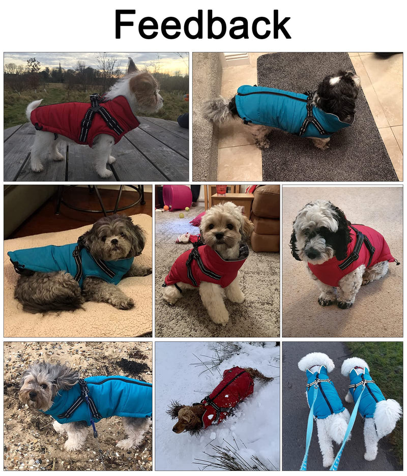 Geyecete Winter Warm Coat Waterproof Dog Winter Jacket with Harness Traction Belt,Pet Outdoor Jacket Dog Autumn and Winter Clothes for Medium, Small Dog Blue - BeesActive Australia