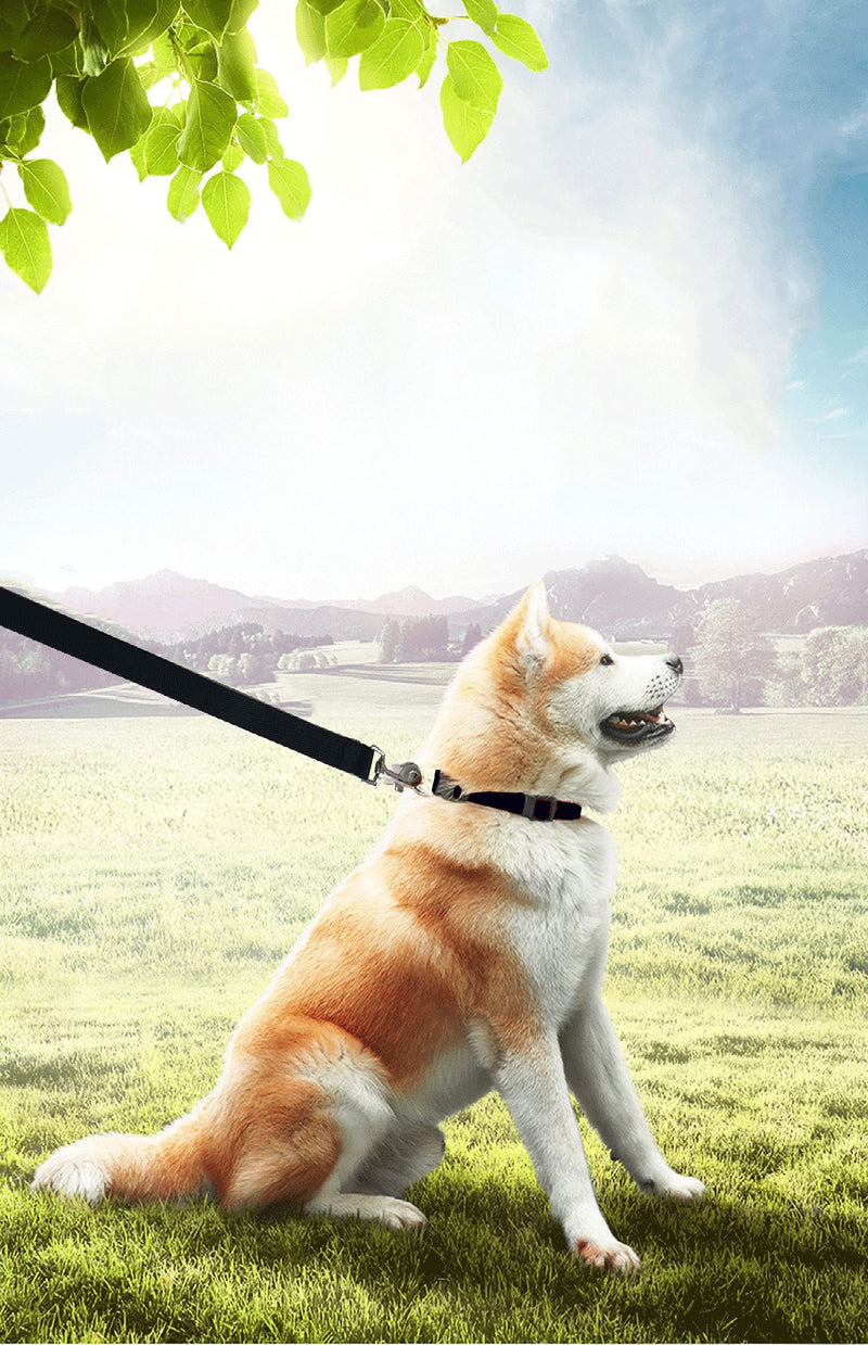 PETGOGO 15ft 20ft 30ft 40ft 50ft Long Dog/Puppy Lead Obedience Recall Training Dog Leashes for Small Medium Dogs Camping, Training, Play, or Backyard 20 FT Black - BeesActive Australia