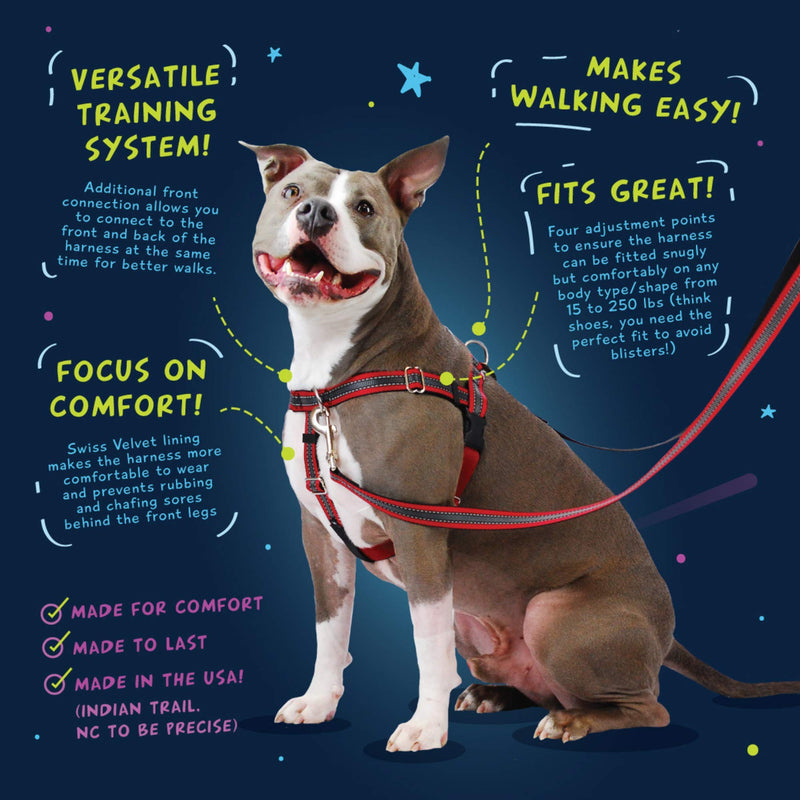 2 Hounds Design Freedom No Pull Dog Harness | Adjustable Gentle Comfortable Control for Easy Dog Walking |for Small Medium and Large Dogs | EarthStyle Designs | Made in USA 5/8" Wide Small (18"-24") Clyde - BeesActive Australia