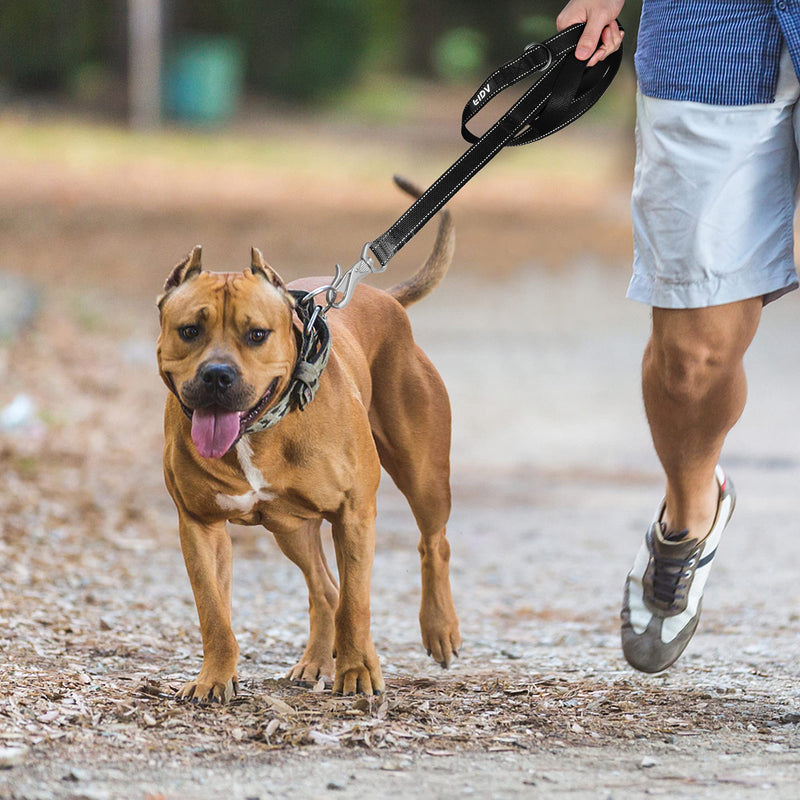 Fida 4/5/6 FT Heavy Duty Dog Leash with 2 Comfortable Padded Handles, Traffic Handle & Advanced Easy Snap Hook, Reflective Walking Lead for Large, Medium & Small Breed Dogs 6 Feet (Pack of 1) Black - BeesActive Australia