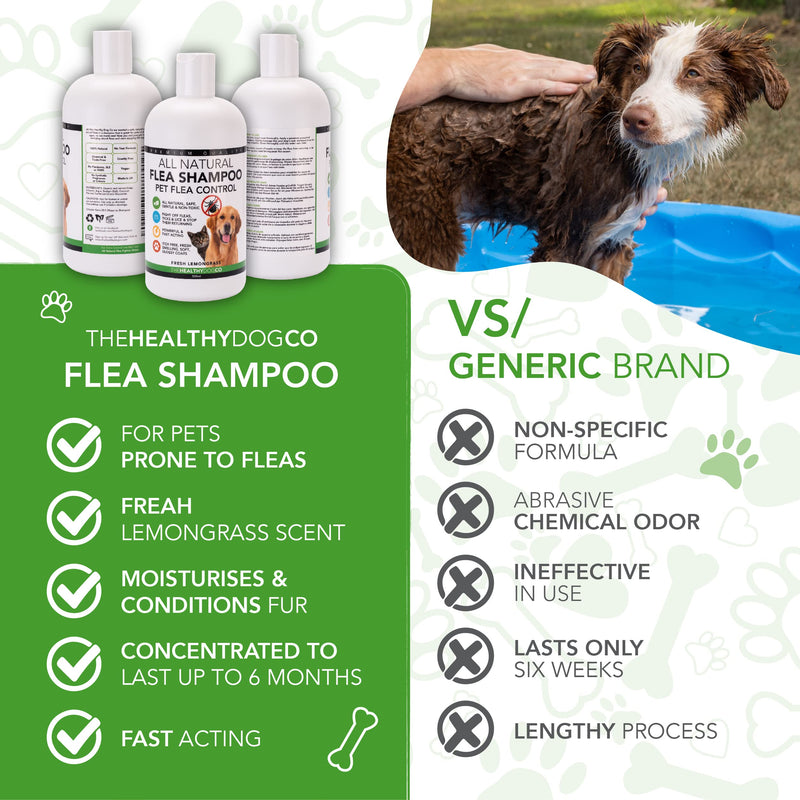 The Healthy Dog Co - Flea Shampoo for Dogs - Flea and Tick Shampoo for Dogs - Dog Flea Shampoo - Dog Shampoo Flea and Tick - Dog Flea and Tick Shampoo - Puppy Flea Shampoo - Flea and Tick Shampoo 16oz - BeesActive Australia