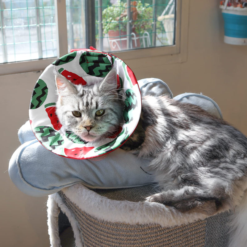 ComSaf Cat Recovery Collar, Lightweight Pet Elizabeth Collar, Soft Adjustable Cat Cone Collar After Surgery for Cat Kitten Prevent from Licking Wounds, Loops-Protective Healing, Not Block Vision Watermelon-S(Neck:5-7in) - BeesActive Australia