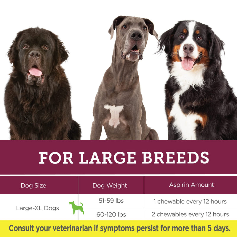 Vetality Canine Aspirin for Dogs | Fast Pain Relief | Large Dogs | Liver Flavor | 120 Chewable Tablets - BeesActive Australia