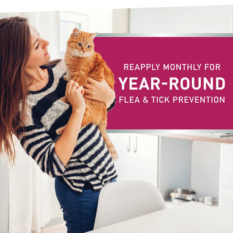 NEXTSTAR Topical Flea & Tick Treatment & Prevention for Cats over 3.5 lbs, Fast Acting, 3-Month Supply - BeesActive Australia