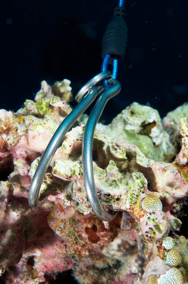 [AUSTRALIA] - Storm Scuba Divers Reef Hook with Stainless Spiral Lanyard 