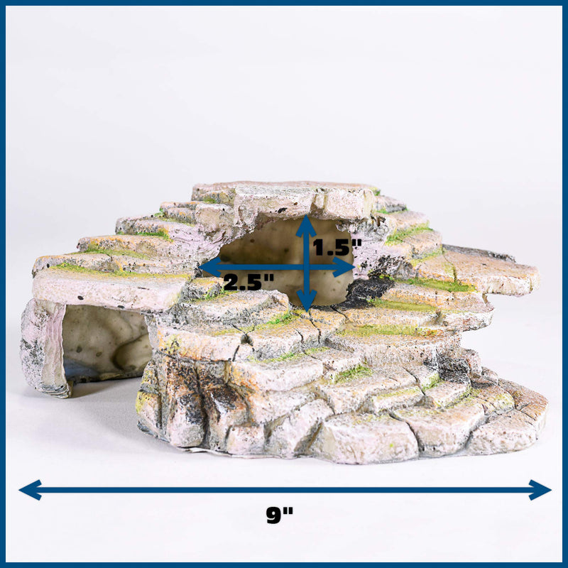 Penn-Plax Reptology Shale Step Ledge for Aquariums & Terrariums, Adds Hiding Spots, Swim Throughs, Basking Ledges for Fish, Reptiles, Amphibians, and Small Animals Medium - BeesActive Australia