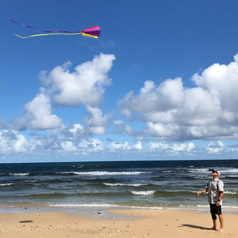 [AUSTRALIA] - In the Breeze Sled Kite with Bag, 30-Inch 