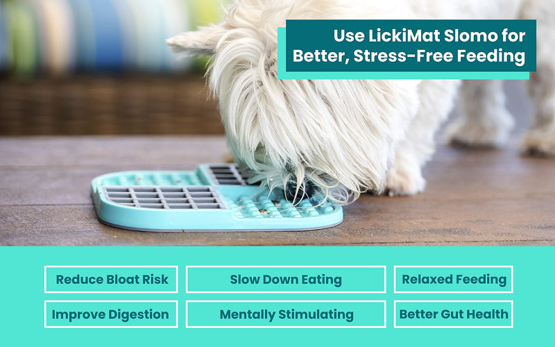 Lickimat Slomo, Dog Slow Feeders Lick Mat, Boredom Anxiety Reducer; Perfect for Food, Treats, Yogurt, or Peanut Butter. [Fun Alternative to a Slow Feed Dog Bowl] Available in a Variety of Colors Turquoise - BeesActive Australia