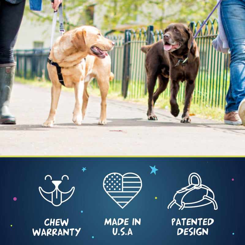 2 Hounds Design Freedom No Pull Dog Harness | Adjustable Gentle Comfortable Control for Easy Dog Walking |for Small Medium and Large Dogs | EarthStyle Designs | Made in USA 5/8" Wide Small (18"-24") Clyde - BeesActive Australia