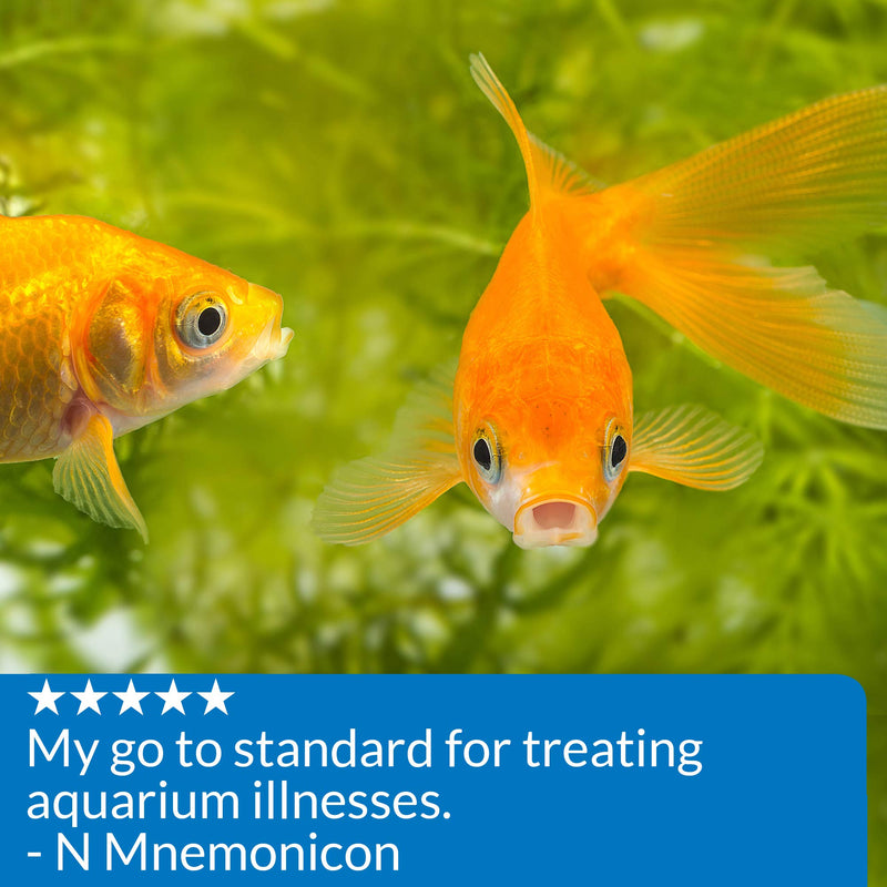 API PIMAFIX Fish remedy, Contains all-natural extract from West Indian Bay Trees to rapidly and safely treats fungal infections on fish body and fins, Use daily for a week when treating infections 4-Ounce - BeesActive Australia