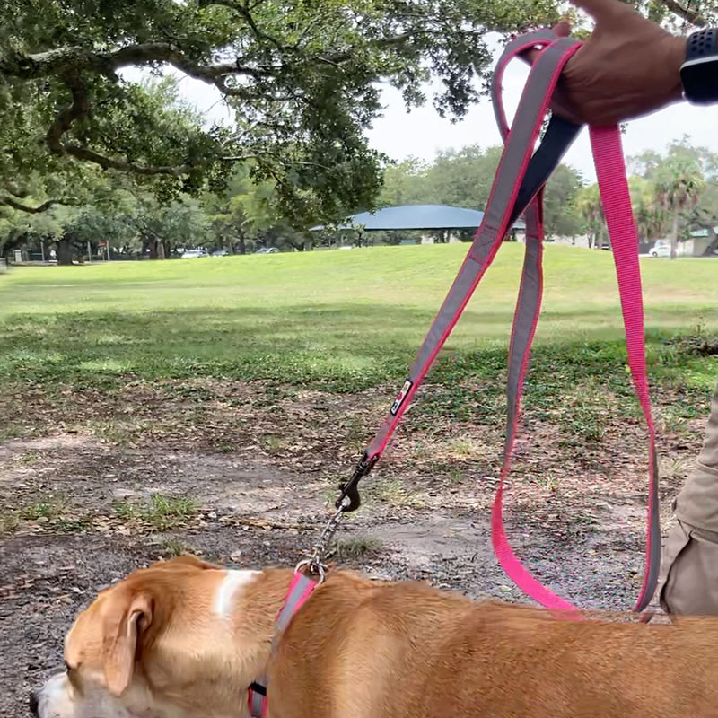Pawtitas Double Handle Dog Leash Heavy Duty for Training No Pull Leashes Ideal for Medium and Large Dogs| Great for Walking, Running & Training Black - BeesActive Australia