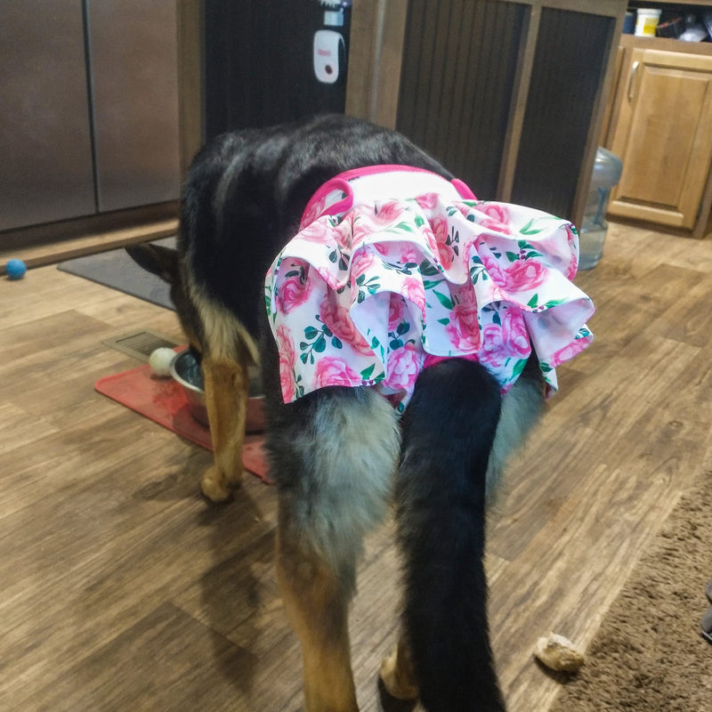 wegreeco Washable Dog Diapers (3 Pack), Highly Absorbent Dog Diapers for Female Dogs in Heat, Period, Incontinence, or Excitable Urination Ocean of Flowers Medium (Pack of 3) - BeesActive Australia