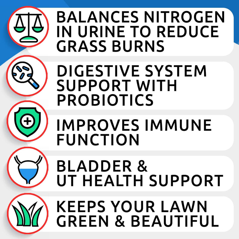 All-Natural Grass Treatment for Dog Urine - Grass Restore Treats for Dogs - Pee Lawn Repair Chews w Probiotics - Dog Urine Neutralizer Solution for Grass Burn Spots - Made in USA - 120 Chews - BeesActive Australia