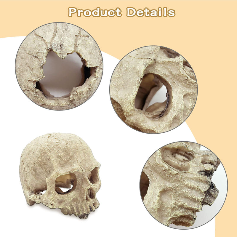 Tfwadmx Bearded Dragon Tank Accessories Reptiles Crocodile Skull Decorations Resin Human Skulls Hideouts Cave Habitat Lizard Plants Hanging Fake Vines Decor for Chameleon,Snake,Spider,Gecko and Fish - BeesActive Australia