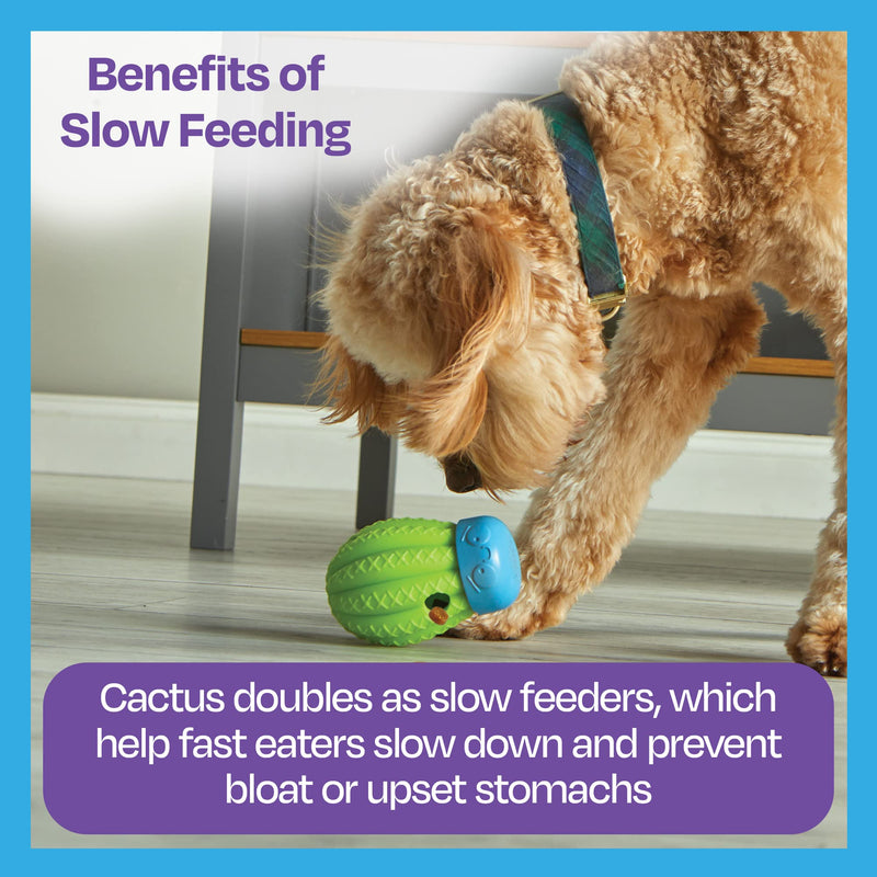 Brightkins Cactus Surprise Treat Dispenser - 1 Piece Mental Stimulation Toys for Dogs, Treat Dispenser for Dogs, Multicolor - BeesActive Australia