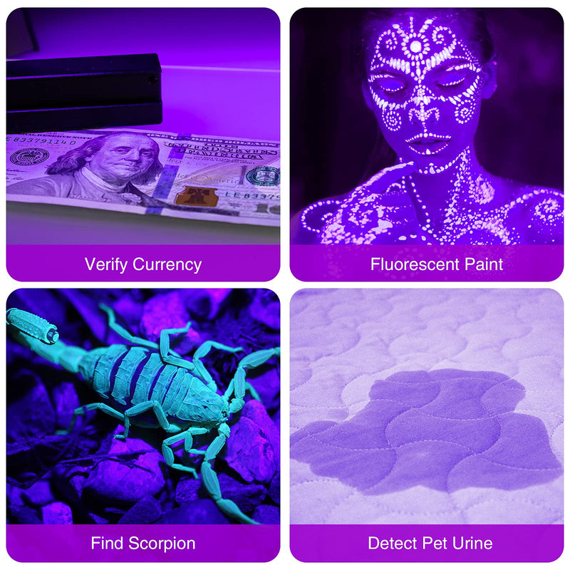 Black Light UV Flashlight, COSOOS 12 LED Handheld Black Light, Small UV Lights 395nm, Portable Pet Stain Detector for Dog Urine, Scorpions, and Bed Bugs. 1 Pack - BeesActive Australia