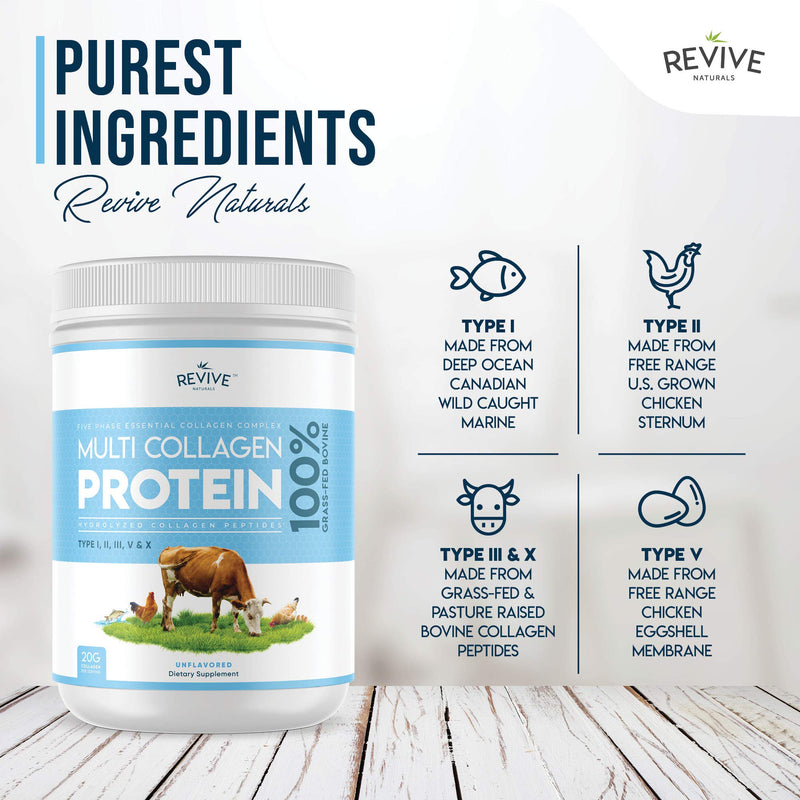 Multi Collagen Protein Powder (400g) - Types I, II, III, V & X - Hydrolyzed Grass Fed Bovine, Wild Caught Fish, & Free-Range Chicken & Eggshell Collagen. Non-GMO, Halal. 400 g (Pack of 1) - BeesActive Australia