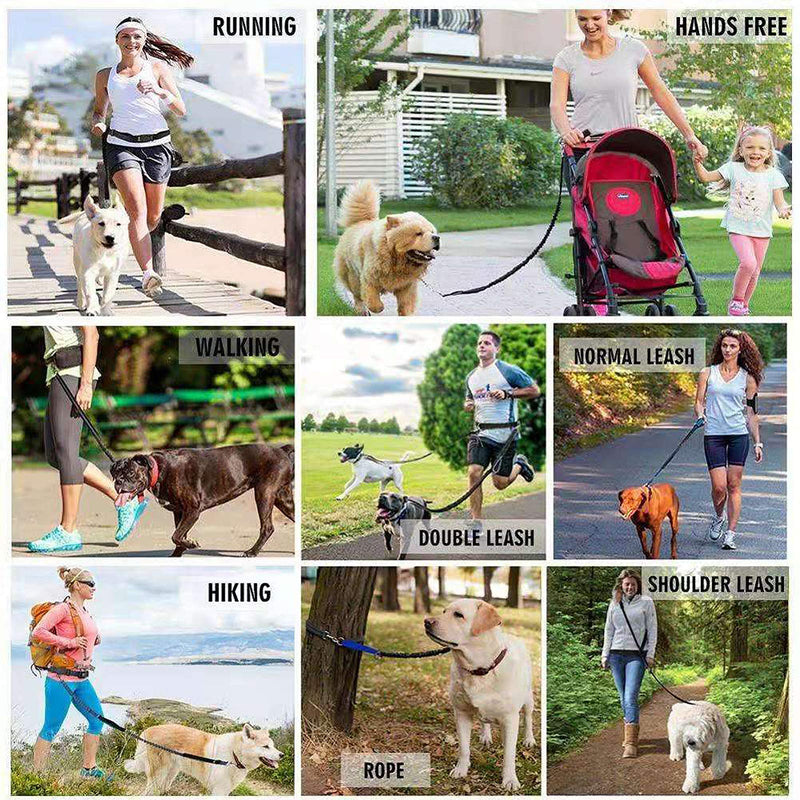 Hands Free Dog Leash, Dual-Handle, Durable Reflective Bungee Leash Kit, Water Bottle Holder Waist Bag with Adjustable Waist Belt, Smartphone Pouch for Running Walking Training Hiking - BeesActive Australia