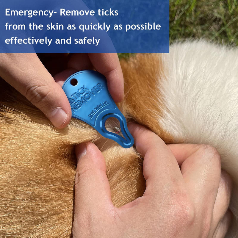 JOTOVO Tick Remover Tool Portable, Tick Removal for Pet and Humans, Safe and Reliable, Pain-Free, Essential Tools for Outdoor Activities- 3 pcs - BeesActive Australia