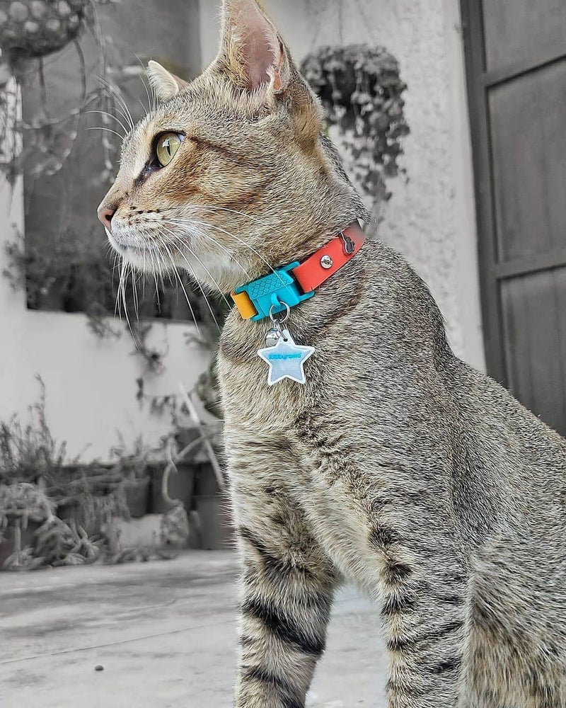 Kittyrama Reflective Cat Charm. Safety Cat Tag. Lightweight, High Visibility, Waterproof. Fits All Reflective Cat Collars. Other Styles Available Yellow Ninja Cat - BeesActive Australia