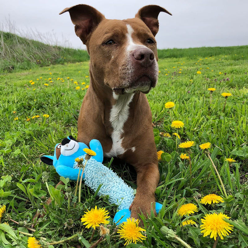 Snuggle Puppy Tender-Tuffs Fetch - Big Tough Plush Dog Toy - Play Fetch or Tug-of-War - Shaggy Blue Raccoon with Puncture Resistant Squeaker - BeesActive Australia
