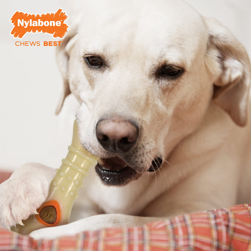 Nylabone Power Chew Knuckle Bone & Pop-in Treats Treat Refill Chicken 1 Count (Pack of 30) - BeesActive Australia
