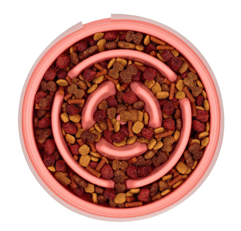 Slow Feed Dog Bowl Slowly Bowly by 2PET. Fun Interactive Dog Dish for Fast Eaters. Prevent Bloating. Fun to Use Dog Bowl. Cat Feeder Friendly. [Skid Protection Upgraded] Medium Coral shellfish - BeesActive Australia