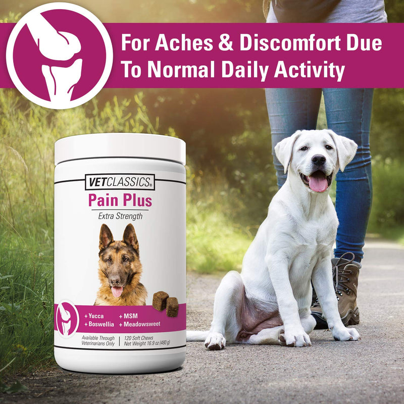 Vet Classics Pain Plus Extra Strength Health Supplement for Dogs 120 Soft Chews - BeesActive Australia