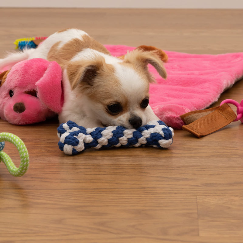 EZDOM Puppy Play Mat with Detachable and Interchangeable Toys, 23”x20” (58x51cm) Pink New - BeesActive Australia