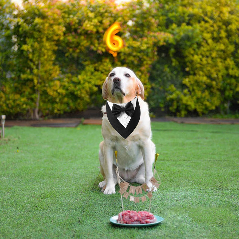 ADOGGYGO Formal Dog Tuxedo Wedding Dog Bandana Dog Wedding Tux with Bowtie Dog Birthday Costume Adjustable Dog Formal Outfit for Small Medium Large Dogs Pets L Black - BeesActive Australia