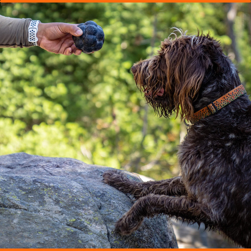 Ultra Durable Tumbler Treat Ball - Lifetime Replacement Guarantee - Aggressive Chewer Approved - Made in USA - Medium/Large Dogs - Safe & Non-Toxic Natural Rubber - Monster K9 Dog Toys - BeesActive Australia