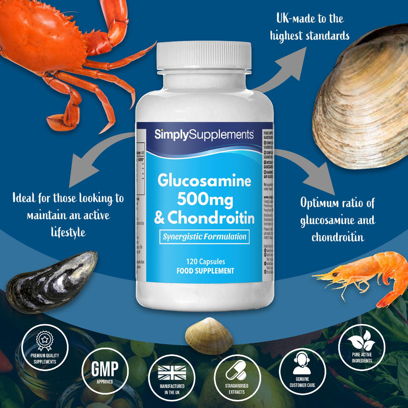 Glucosamine and Chondroitin | 120 Glucosamine 500mg & Chondroitin Capsules | Manufactured in The UK - BeesActive Australia