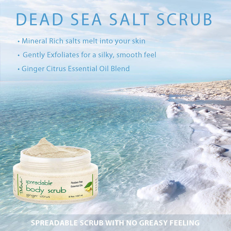 Dead Sea Salt Exfoliating Face & Body Moisturizing Scrub, Ginger and Citrus Essential Oils, Vitamin E for Dry Skin - Leaves Skin Silky Smooth with Lasting Hydration for Men & Women (Two Pack) Two Pack - BeesActive Australia