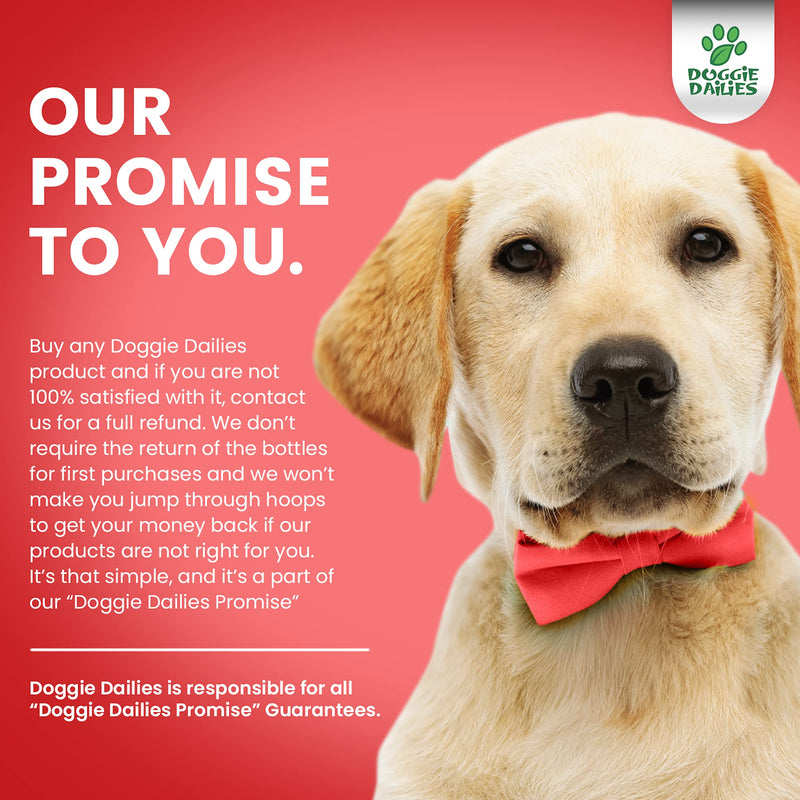 Doggie Dailies Cranberry Supplement for Dogs, 225 Soft Chews, Urinary Tract, Bladder & Kidney Support for Dogs, Cranberry for Dogs with Marshmallow Root, Licorice Root & Apple Cider Vinegar Bacon - BeesActive Australia