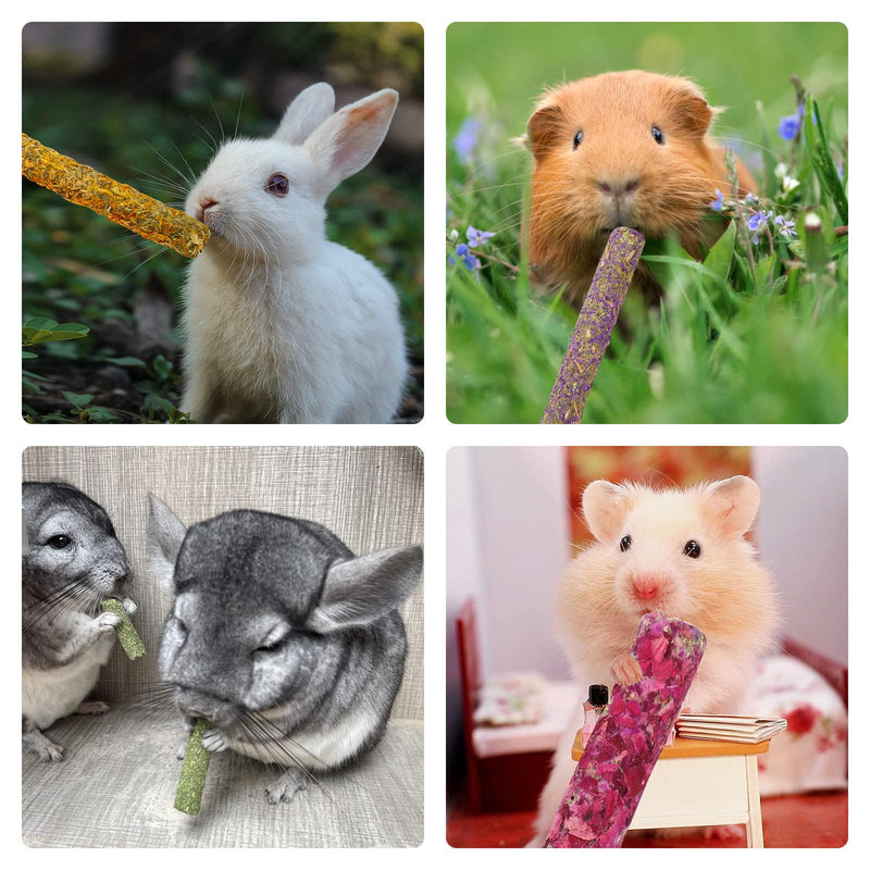 PStarDMoon Rabbit Chew Toys for Teeth, Timothy Grass Carrot Sticks for Guinea Pig Hamster Chinchilla Squirrel Bunny Small Rodent Animals 20 PCS - BeesActive Australia