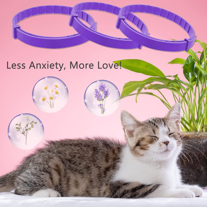 Wustentre 3 Pack Calming Collar for Cats, Cat Calming Collars, Natural Cat Pheromones Calming Collar, Adjustable Cat Anxiety Collar Reduce Anxiety Kitten Calm Collar for Cats Purple - BeesActive Australia