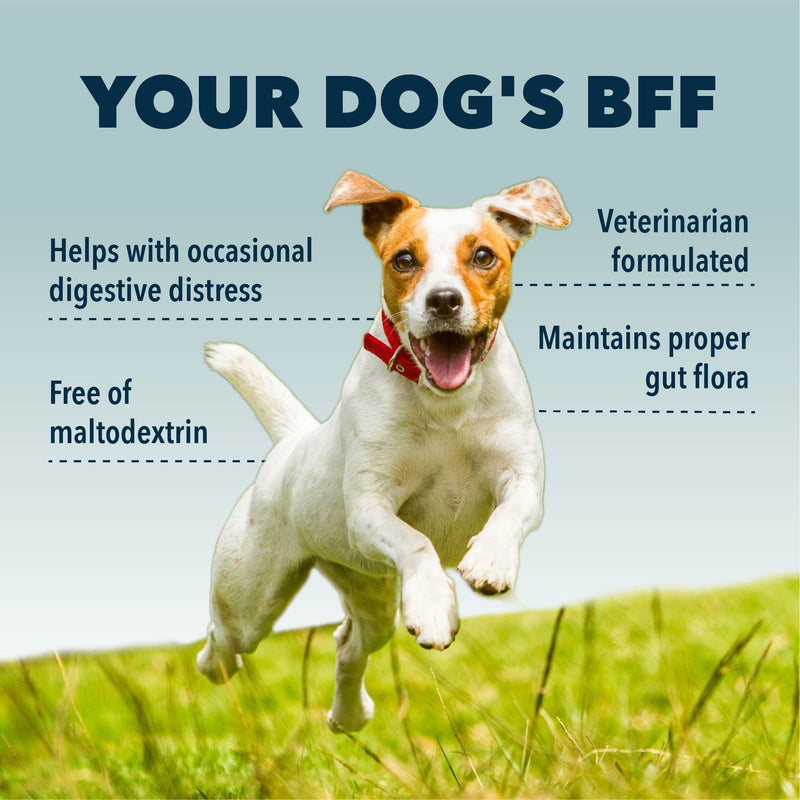 Four Leaf Rover: Bifido for Fido - Multi-Strain Dog Probiotics and Prebiotics for Immune Support - 50 Billion CFUs - Up to 120 Servings, Depending on Dog’s Weight - Vet Formulated - for All Breeds - BeesActive Australia