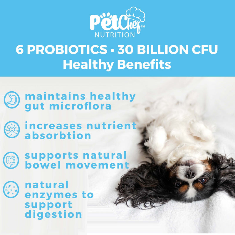Natural Organic Prebiotic Probiotic Soft Treats for Dogs | Digestive Gut Health, Gas & Bloating, Constipation, Diarrhea & Upset Stomach | Premium Chewable Treats for Dog - All Ages & Sizes - 140 Ct Peanut Butter - BeesActive Australia